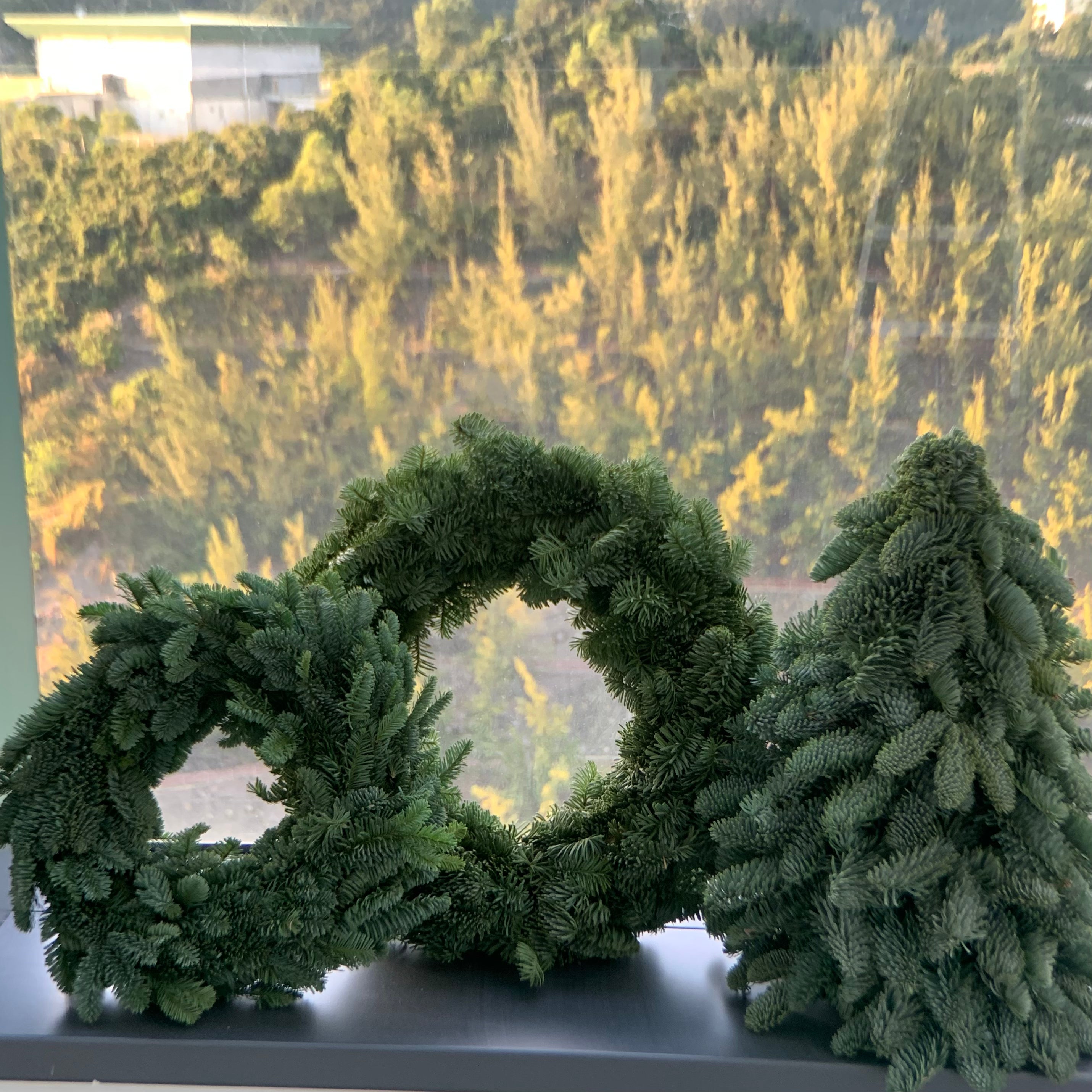 聖誕節花禮預定- 聖誕環 Xmas Wreath (Pre-Order)
